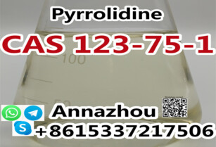 Factory Supply Pyrrolidine Cas 123-75-1 with Safe Delivery Door to Door