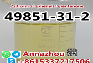 High Quality 2-Bromo-1-phenyl-1-pentanone Cas 49581-31-2