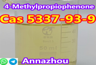 Best Quality 4′-Methylpropiophenone CAS NO.5337-93-9