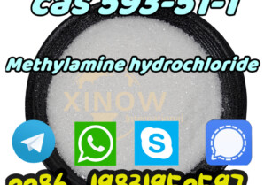 Buy 593-51-1 Methylamine hydrochloride Medecine Grade