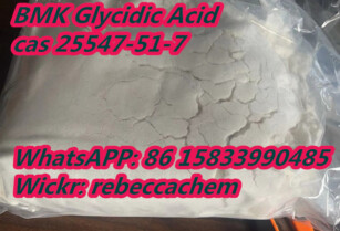 CAS 25547-51-7/5449-12-7 BMK powder BMK Glycidic Acid free recipe