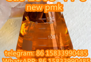 buy new pmk cas 2503-44-8 3,4-DIHYDROXYPHENYLACETONE wholesell