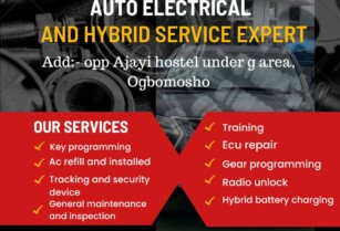 CONTACT US FOR PROFESSIONAL AUTO ELECTRICAL AND HYBRID SERVICE (CALL 09021918421)