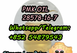 New Pmk Oil CAS 28578-16-7 Pmk Ethyl Glycidate Oil