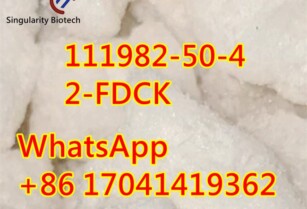 111982-50-4 2-FDCK 2fdck	hot sale	i3