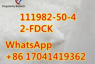 111982-50-4 2-FDCK 2fdck	hot sale	i3