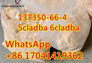 137350-66-4 5cl adba 6CL	hot sale	i3