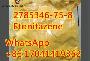 2785346-75-8 Etonitazene	hot sale	i3