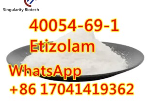 40054-69-1 Etizolam	hot sale	i3