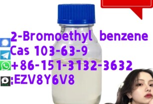 new 2-Bromoethyl  benzene Cas103-63-9 whatsapp +86-151-3132-3632