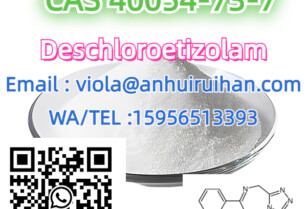 CAS 40054-73-7 Deschloroetizolam