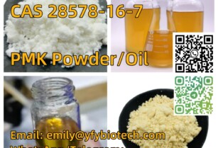 CAS 28578-16-7 PMK powder ethyl glycidate PMK oil