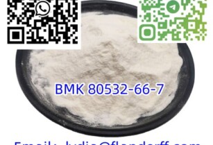 BMK 80532-66-7 methyl glycidate