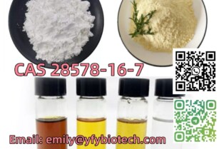 Best Sale PMK ethyl glycidate CAS 28578-16-7 Good Effect