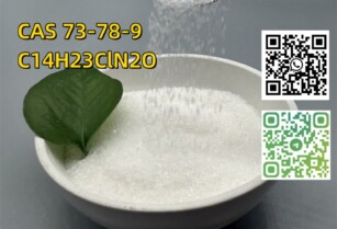 Lidocaine hydrochloride C14H23ClN2O CAS 73-78-9