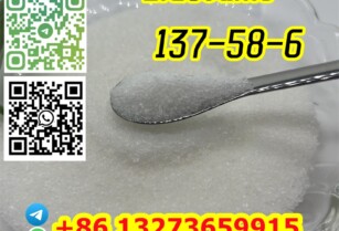 Lidocaine C14H22N2O CAS 137-58-6