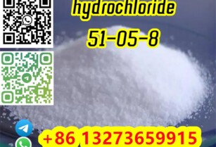 Procaine hydrochloride C13H21ClN2O2 CAS 51-05-8