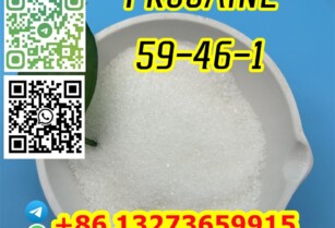 PROCAINE C13H20N2O2 CAS 59-46-1