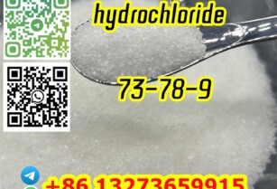 Lidocaine hydrochloride C14H23ClN2O CAS 73-78-9