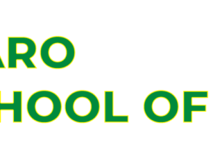 School of Nursing, Ilaro 2024/2025 Admission form/Application form is out & still on sale, Call 08110985932 DR. RICHARD ONOJA to apply & for registrat