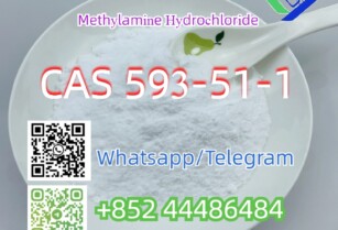 Methylamine Hydrochloride CAS 593-51-1