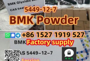 BMK powder 5449-12-7 Germany Warehouse pickup