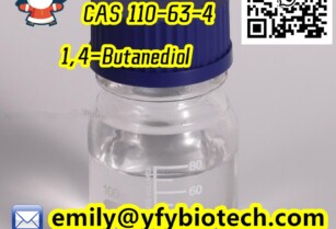 High Purity 1,4-Butanediol C4H10O2 CAS 110-63-4