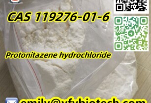 Protonitazene hydrochloride C23H31ClN4O3 CAS 119276-01-6