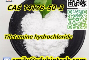 Top Quality Tiletamine hydrochloride C12H18ClNOS CAS 14176-50-2