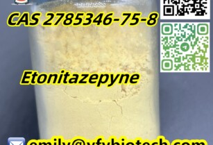 Best Quality Etonitazepyne CAS 2785346-75-8