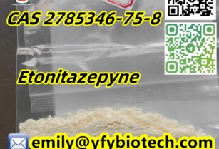 Etonitazepyne C22H26N4O3 CAS 2785346-75-8