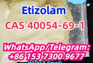 40054-69-1 Etizolam