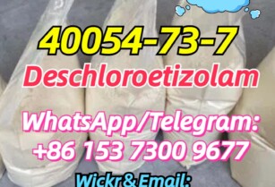 40054-73-7 Deschloroetizolam