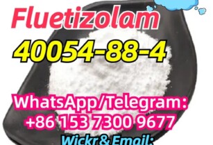 40054-88-4 Fluetizolam