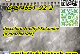 High Quality Deschloro-N-Ethyl-Ketamine (Hydrochloride) C14H20ClNO CAS 4551-92-2