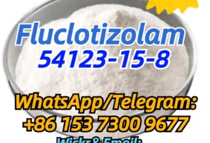 54123-15-8 Fluclotizolam