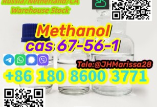 Best Sale CAS  67-56-1  Citric acid Threema: Y8F3Z5CH