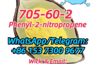 705-60-2 Phenyl-2-nitropropene