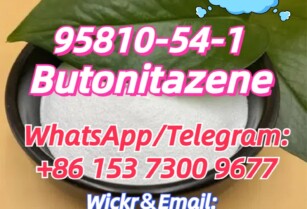 95810-54-1  Butonitazene