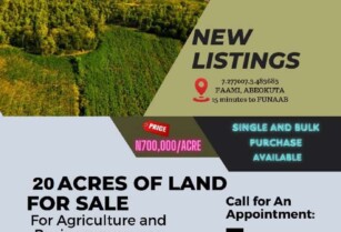 20 Acres of Land For Sale at Abeokuta, 15mins to Funaab (Single and Bulk Purchase) Call 08064966708