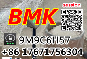 75% Yield Bmk Glycidic Acid CAS 5449-12-7/41232-97-7 Poland Germany Stock