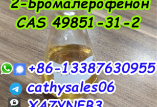 CAS 49851-31-2 2-Bromovalerophenone CAS 49851 31 2 China Reliable Supplier