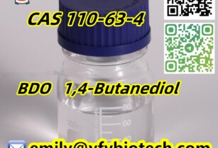 1,4-Butanediol C4H10O2 CAS 110-63-4