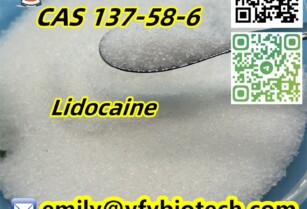 Lidocaine C14H22N2O CAS 137-58-6