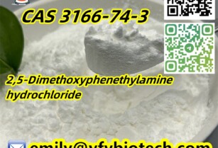 2,5-Dimethoxyphenethylamine hydrochloride C10H16ClNO2 CAS 3166-74-3