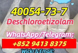 40054-73-7,good quality and good price,Deschloroetizolam