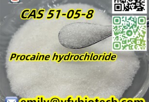 Procaine hydrochloride C13H21ClN2O2 CAS 51-05-8