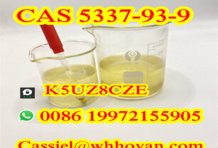 good price of CAS 5337-93-9 to Kazakhstan whatsapp +86 19972155905