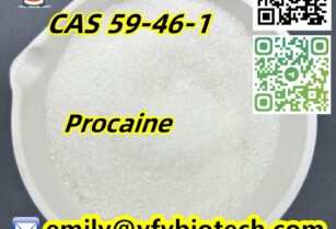 PROCAINE C13H20N2O2 CAS 59-46-1