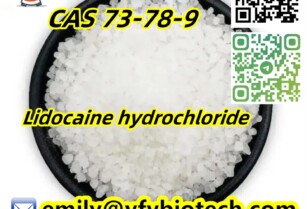 Lidocaine hydrochloride C14H23ClN2O CAS 73-78-9